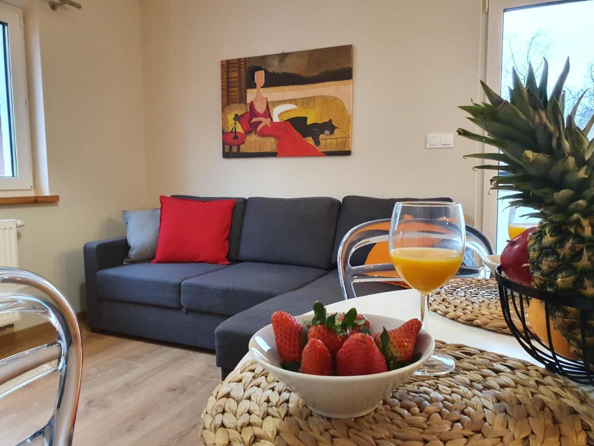 Apartamenty Szafirowa Mierzeja - 365Pam 梅尔诺 外观 照片